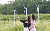 Lạc lối giữa cánh đồng hoa tam giác mạch ở Hà Nội